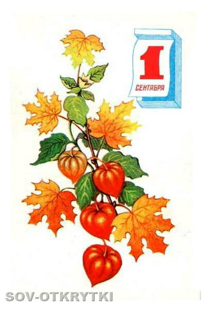 71sokolova_a22.jpg
