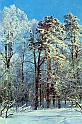 70simonov_s11