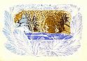 71chmarov_v310371_XXL