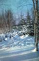 71kostenko_g_planeta_qq