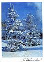 71raskin_b090471_orig