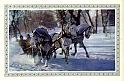 71turanov_n11