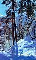 74gridina_n1012_XXL