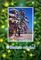 75ponomarev_v_raskin_l310375_XXL