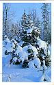 79matanov_n_planeta_qq