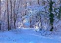 80luchinina_a1012_XXL