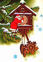 80papulin_m_021080_XXL