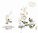82manilova_l0122_XL