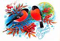 83ivanov_b_311083_XXL