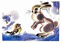 83kanevskiy_v_1101f_XXXL
