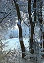 83skachkov_b_qq_planeta